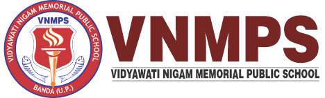 VNMPS SCHOOL Logo