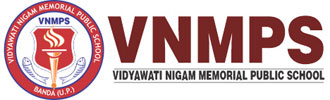 VNMPS SCHOOL Logo